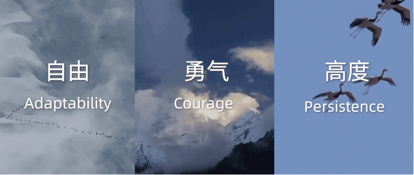 1656306184166393.gif 圖片 1.gif