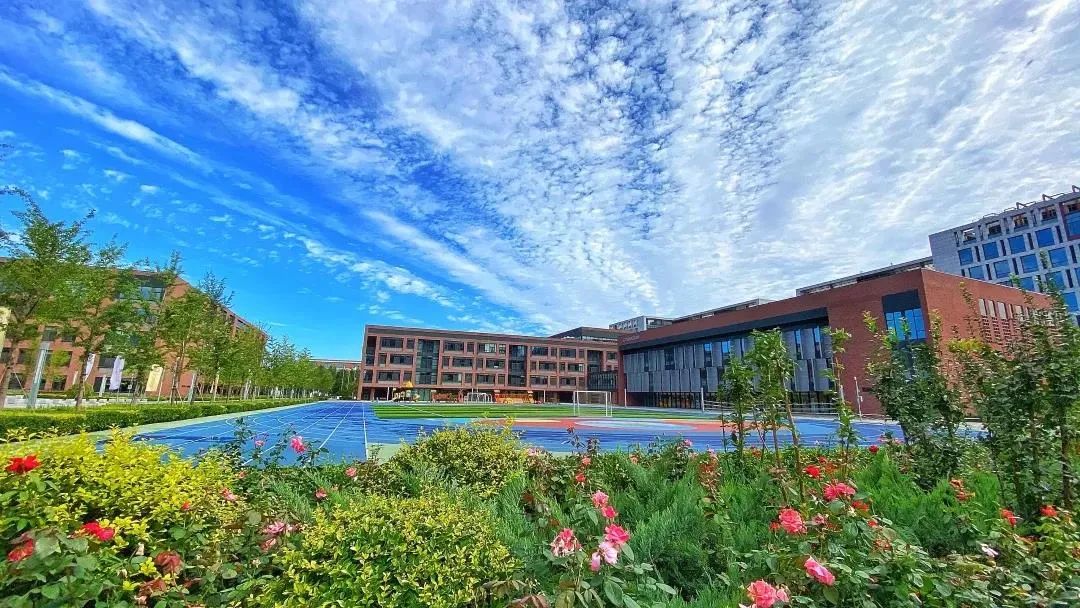 1672085831519760.jpg 1672085831519760.jpg