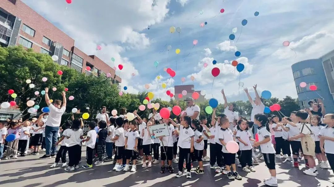 1701272069854551.jpg 1701272069854551.jpg